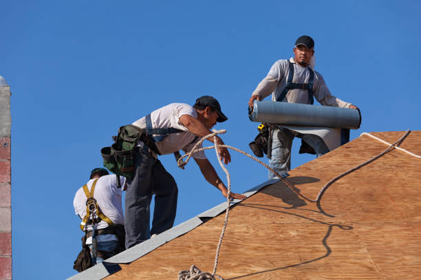 Best Roof Gutter Cleaning  in Columbus, IN