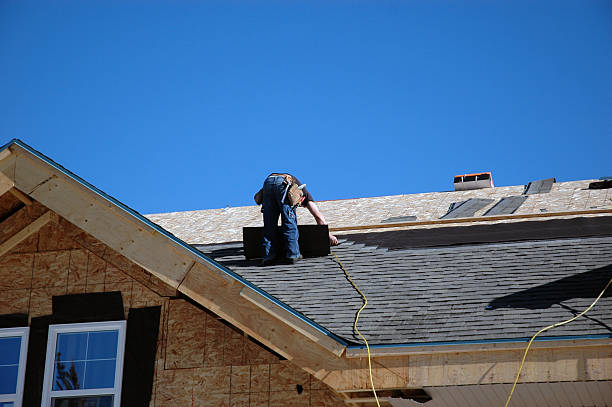 Best Metal Roofing Contractor  in Columbus, IN