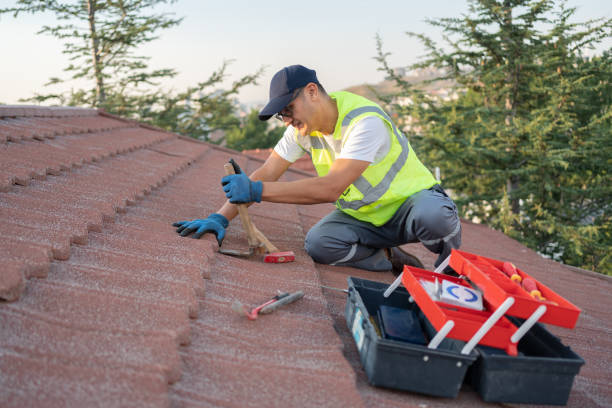 Best Roof Gutter Cleaning  in Columbus, IN